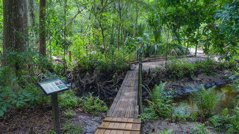 Jacksonville Arboretum Florida Hikes