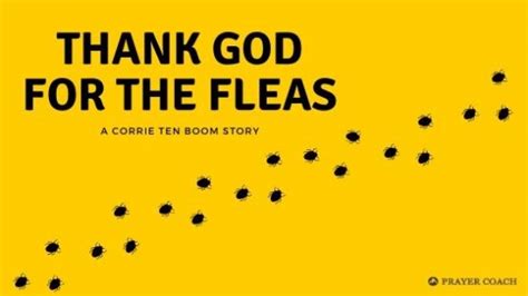 thank god for the fleas corrie ten boom