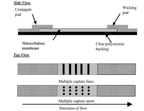 Be careful not to touch the fabric of the swab once if you get a positive result, you need to register it online or by calling 119. Schematic representation of lateral flow test strip. The ...
