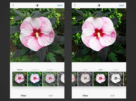 The 10 Best Instagram Filters For 2020