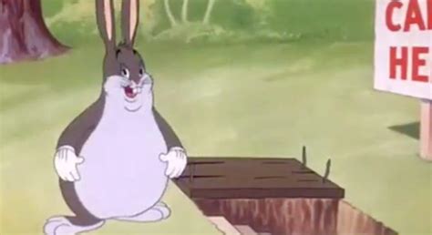 Just Found This Really Funny Image Of A Fat Bugs Bunny I Think It