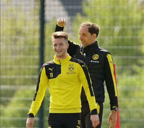 Things About: Marco Reus. | Marco reus, Reus, Football