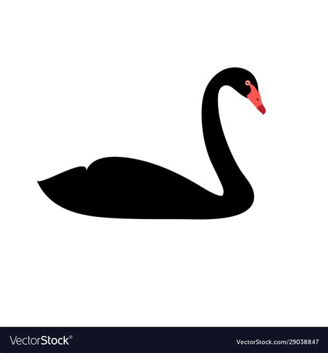 Silhouette Isolated Black Swan Royalty Free Vector Image