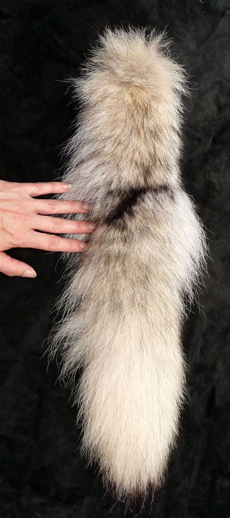 Pale Wolf Tail Sold By Wild Hearted One Wildheartedone Feralwearables