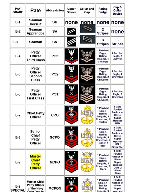 Enlisted Ranks Insignia United States Military A Brief Overview Of