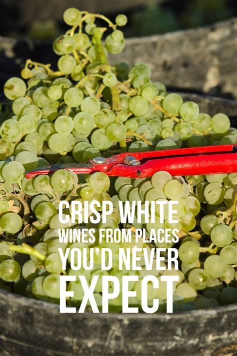 Crisp White Wines From Places Youd Never Expect White Wine Wines