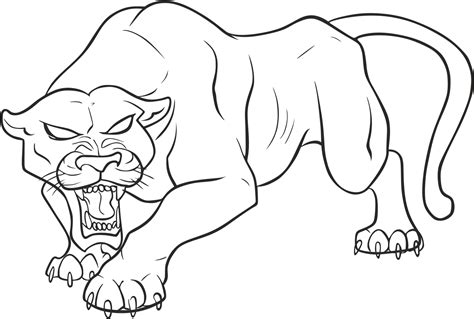 Panther Png Pic Realistic Animal Line Art Clip Art Library