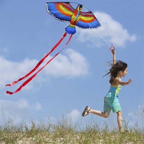 Colorful Cartoon Parrot Kite 50m Flying Line Easy Fly Kites Outdoor