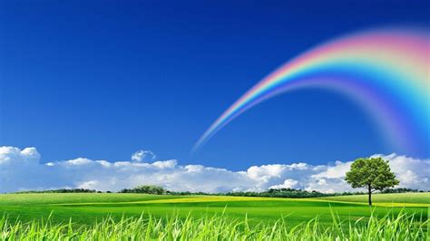 Colorful Rainbow Sky Background X For Your Projects
