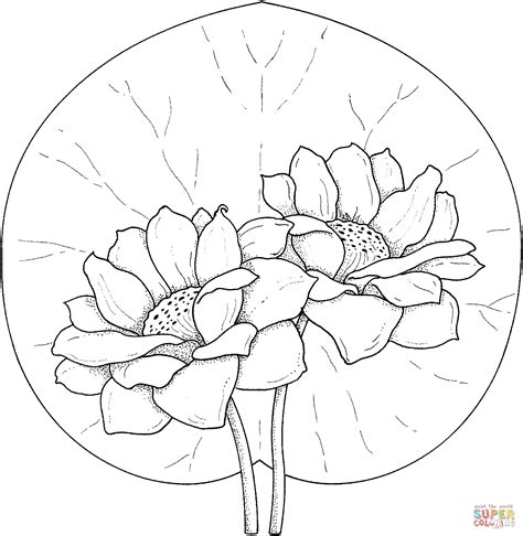 Discover all our printable coloring pages for adults, to print or download for free ! Water lilies coloring pages download and print for free