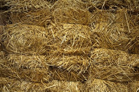 How To Build With Straw Bale Homebuilding
