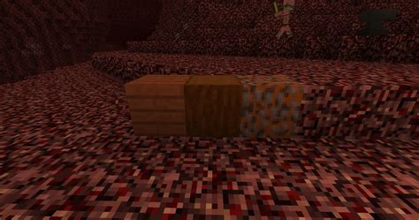 Nether Biomes 1 The Nether Forest Suggestions Minecraft Java