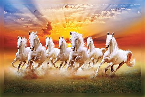 7 White Horse Wallpaper Hd Free Tutorial Pics