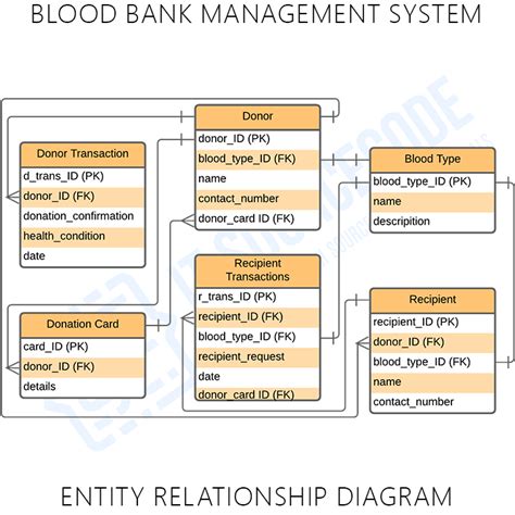 Blood Bank Management System Er Entity Relationship Diagram