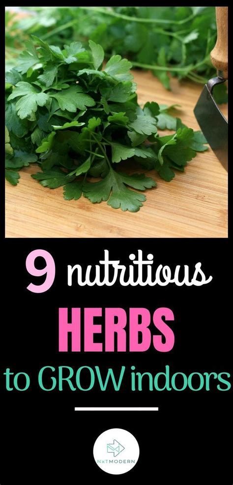 Delivering products from abroad is always free, however, your parcel may be subject to vat, customs. Growing Herbs Indoors: 9 Of The Best Types To Use ...