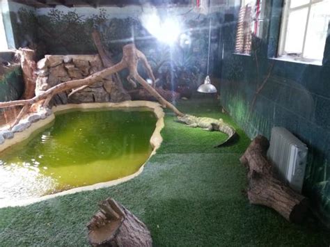 Exotic Pet Refuge Peterborough 2021 All You Need To Know Before You