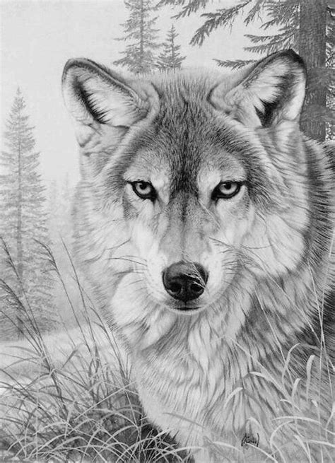 Wolf Coloring Pages For Adults Wolf Coloring Page In 2020 Grayscale