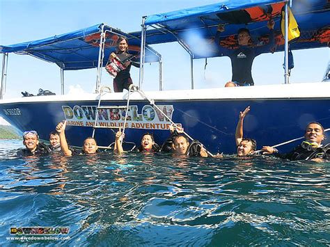 Since its inception in 1946, tarc has achieved numerous enviable success and most of its graduates produced are currently being. Go scuba diving in Tunku Abdul Rahman Park with our ...