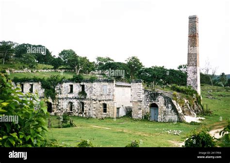 Chimney And Ruined Buildings Of Old Estate Sugar Mill Jamaica Wset