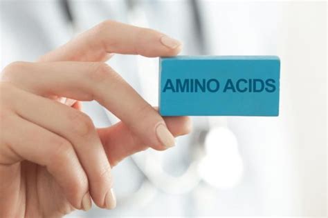 Top 10 Health Benefits Of Amino Acids