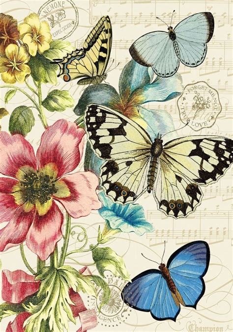 Butterflies Flowers Spring Botanical Flag X Card Art Flower