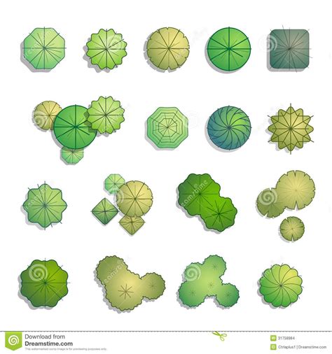 landscape design rendering | Trees top view for landscape design vector