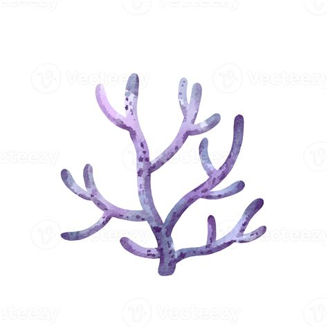 Watercolor Sea Coral 16541967 Png