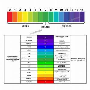 100 200 Pcs Test Strips Ph 0 14 Alkaline Acid Urine Saliva Litmus Paper