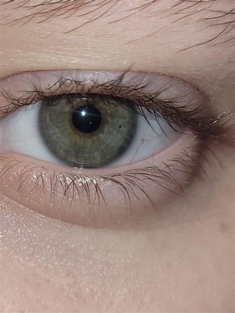 what s my eye color r whatismyeyecolour