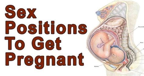 How To Get Pregnant Superfast Best Foods And Positions For Getting
