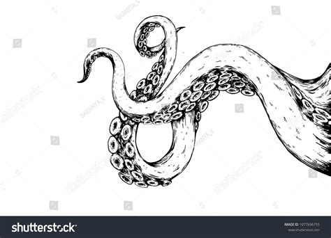 We did not find results for: tentacles octopus drawing on white backgroundoctopus# ...