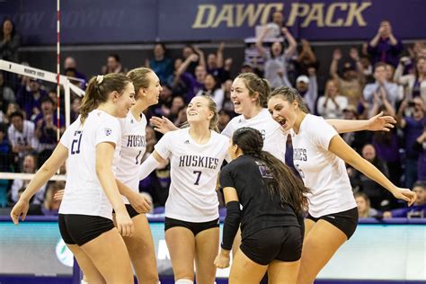 Uw Huskies Volleyball Squad Has National Championship Capability And You Can Thank This