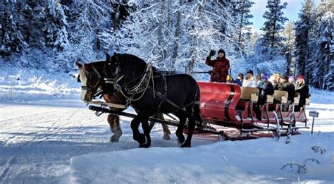 This Sleigh Ride In Washington Takes You Through A Winter Wonderland