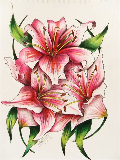 Hibiscus flower tattoo design on shoulder. lily flower designs | pink lily tattoo by rhianne almond ...