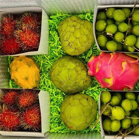 Order Fresh Exotic Fruit Boxes Online From Tropical Fruit Box