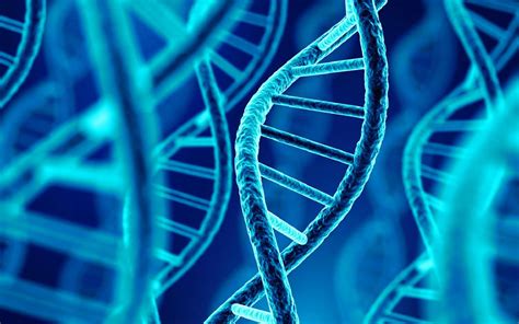 Rôle des facteurs génétiques dans la progression de lIRC soconeph