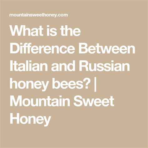 What Is The Difference Between Italian And Russian Honey Bees