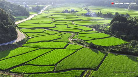 Free Photo Agricultural Landscape Agricultural Resource Natural