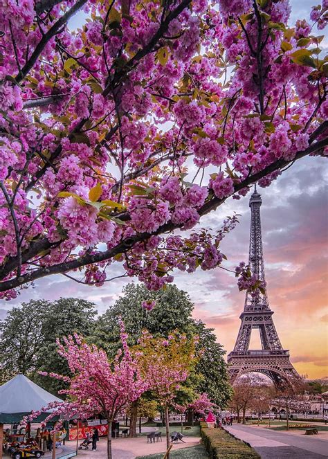 Paris In Spring Marcnouss Paris In Spring Spring In Paris