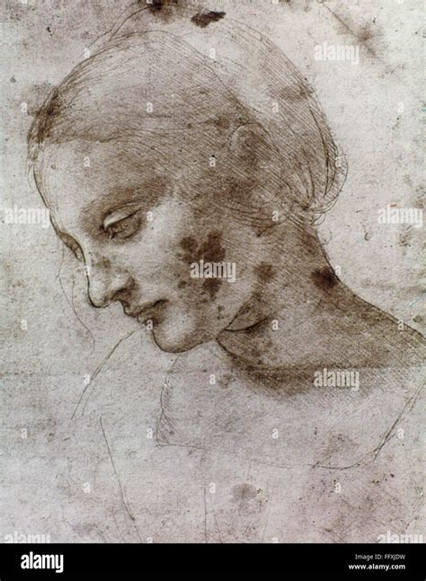 Da Vinci Madonna Nstudy For The Head Of Madonna Litta By Leonardo
