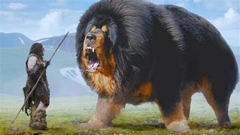 15 Most Ancient Dog Breeds On Earth Youtube