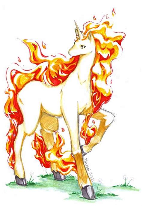 Rapidash I Have Never Played Pokemon Or Anything Related But The