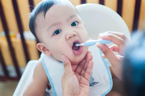 When To Start Brushing Baby Teeth Guide Truly Mama 2020