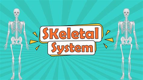 Skeletal System Learningmole
