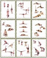 About Yoga Poses Photos