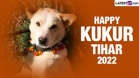 Kukur Tihar 2022 Images And Hd Wallpapers For Free Download Online