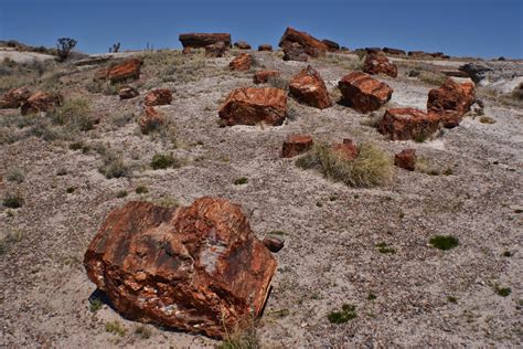 No Bad Days Rving Petrified Forest National Park