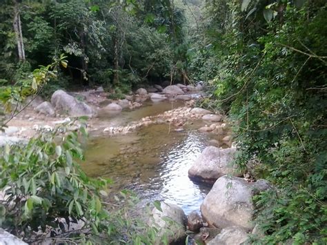 Check spelling or type a new query. genggampisau.blogspot.com: Taiping Interesting Places 4 ...
