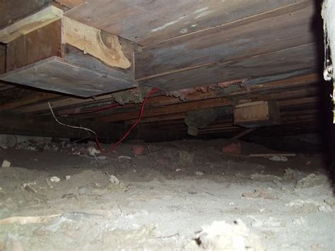 This is essential if the crawlspace is unheated. Muskoka Insulation Experts: Insulating Crawl Spaces and ...