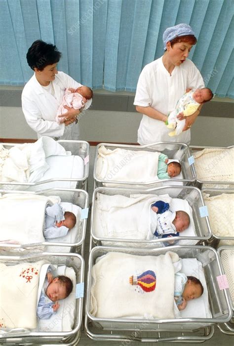 Nurses With Newborn Babies In A Hospital Nursery Stock Image M815